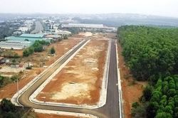 Hủy kết quả đấu giá 29 lô đất do không nộp tiền đúng hạn