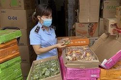 Thu giữ gần 11.000 bánh Trung thu không rõ nguồn gốc