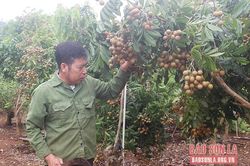 Đẩy mạnh quảng bá, tiêu thụ sản phẩm nông sản địa phương