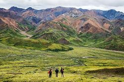 Lang thang trên những nẻo đường Alaska