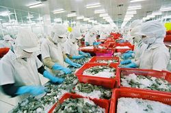 Xuất khẩu thủy sản dự kiến lần đầu tiên đạt 10 tỷ USD