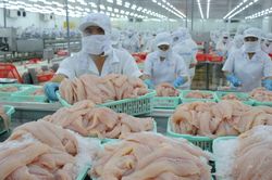 Mexico là một trong 3 thị trường xuất khẩu lớn nhất của cá tra Việt Nam