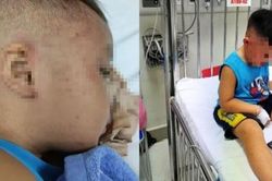 Kẻ đánh đập, nhét bé trai 3 tuổi vào tủ đông có thể đối diện hình phạt nào?