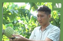 Nông dân tính chuyện làm ăn lớn