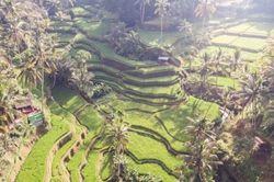 Đông Nam Á cần nỗ lực ứng phó tác động của biến đổi khí hậu với an ninh lương thực