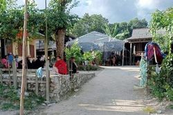 Người phụ nữ tử vong sau 3 tháng bị chó cắn