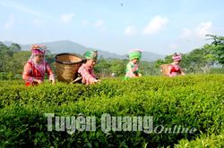 Phát huy tinh thần Cách mạng Tháng Tám