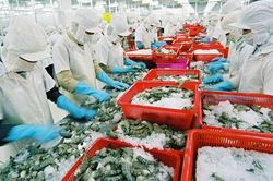 Tăng trưởng chỉ là bề ngoài?