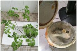 Trở lại nhà trọ sau nghỉ hè, sinh viên 'đứng hình' với căn phòng