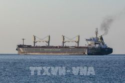 Thêm 5 tàu chở ngũ cốc xuất khẩu của Ukraine cùng khởi hành