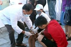 Bến Tre đã ghi nhận 11 ca tử vong do bệnh dại