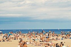 Tên trộm túi bị bắt quả tang trên truyền hình ở Barcelona