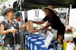 Nigeria: Sản xuất mì ống không gluten từ…sắn