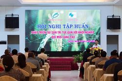 Gia Lai: 100 học viên tham gia tập huấn sở hữu trí tuệ