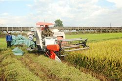 Sức sống trên vùng kinh tế mới Cát Tiên