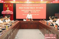 Hội nghị trực tuyến triển khai công tác phòng, chống dịch Covid-19