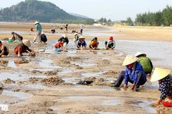 Hàng trăm người dân làm 'nghề tranh thủ' trên bãi biển