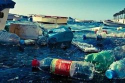 Ocean Conservancy xin lỗi vì đưa Việt Nam vào Top 5 quốc gia xả rác nhựa ra biển