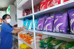 Xây dựng nhãn hiệu chứng nhận 'Gạo An Giang'