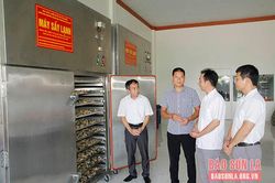 Hỗ trợ thiết bị sản xuất chế biến hoa quả
