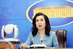 Triển khai biện pháp bảo hộ công dân người Việt bị lừa đi lao động