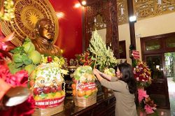 Phó Chủ tịch nước Võ Thị Ánh Xuân dâng hương tưởng nhớ Chủ tịch Tôn Đức Thắng tại An Giang