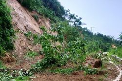 Khu vực vùng núi trong tỉnh cần đề phòng lũ quét, sạt lở đất, đá