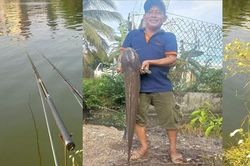 Câu được cá trê khủng nặng gần 10kg, người đàn ông thả lại ao