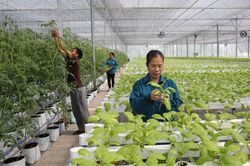 Thúc đẩy khởi nghiệp trong nông nghiệp