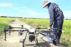 Phấn đấu tăng thu nhập cho người dân nông thôn