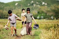 Lấy ý kiến về quy định tổ chức và hoạt động của Hội đồng thẩm định kịch bản phim nhà nước
