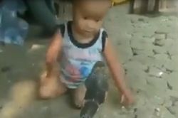 Bé trai tát, túm đầu hổ mang chúa không chút sợ hãi