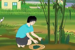 Ký ức măng vòi