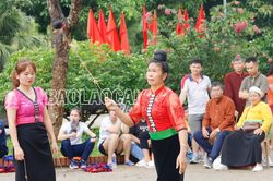 Hấp dẫn trên từng sàn đấu