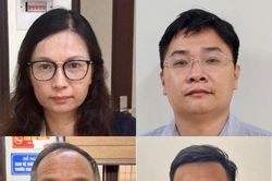 Không để 'cua cậy càng, cá cậy vây'!