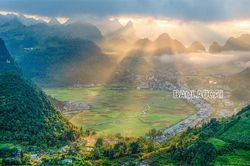 Mùa lúa chín Mường Khương - dải lụa vàng giữa đại ngàn biên ải