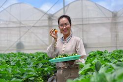 Đào tạo phát triển nghề du lịch canh nông