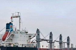 Một DN vận tải biển bị kiểm toán nghi ngờ khả năng hoạt động liên tục
