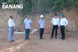 Xử lý nghiêm vi phạm san ủi đất rừng sản xuất giao khoán tại tiểu khu 16