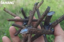 Phát hiện hàng loạt đinh vương vãi khắp mặt đường