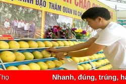Thúc đẩy chuyển đổi số trong hoạt động thương mại