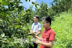 Chủ nhân trang trại đầu tiên ở Trung Minh