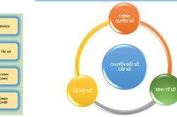 Đào tạo nhân lực chuyển đổi số cấp xã và tổ công nghệ số cộng đồng