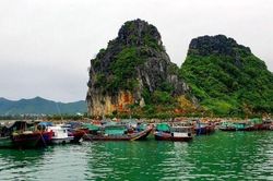 Quảng Ninh tạm dừng cấp phép cho các phương tiện thủy ra khơi
