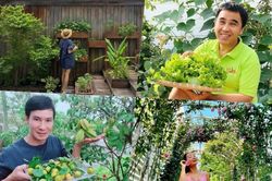 'Hệ sinh thái' mướt mắt trong biệt thự trăm tỷ của sao Việt