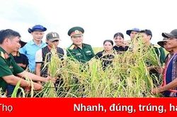 Giúp người dân biên giới Tây Nguyên xóa đói, giảm nghèo