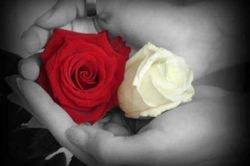 Bến bờ yêu thương