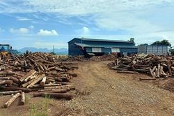 Thuê đất của xã rồi xây dựng công trình trái phép