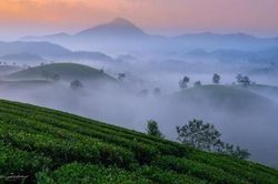Trải nghiệm săn mây trên đỉnh Chiêu Lầu Thi, Hà Giang