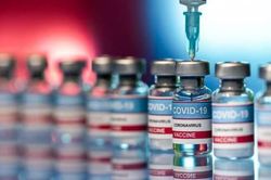 Việt Nam dự kiến tiếp nhận khoảng 8,4 triệu liều vaccine COVID-19 trong tháng 9/2022